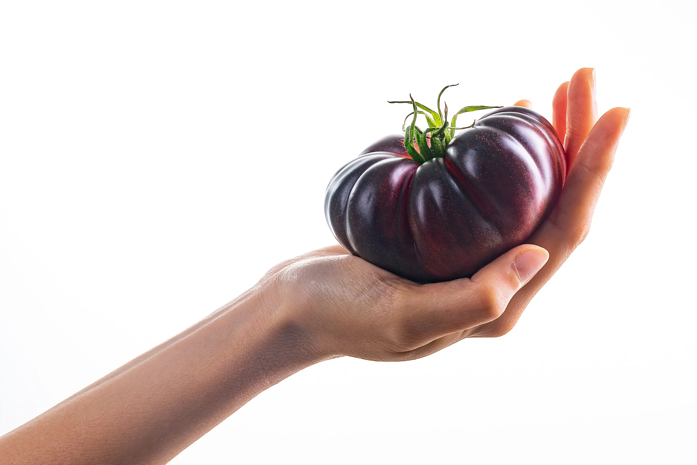 A hand holds a whole Mystika tomato in its palm, white background.